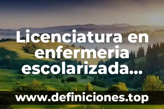 Licenciatura en enfermeria escolarizada que es