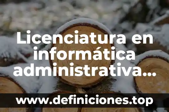 Licenciatura en informática administrativa que es