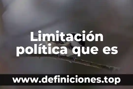 Que es un mantenimiento de las areas administrativas 6 Limitación política que es