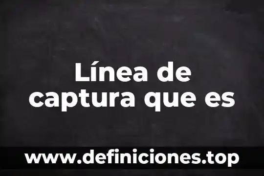 Que es ser algo 8 Línea de captura que es