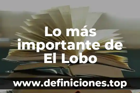 Lo más importante de El Lobo