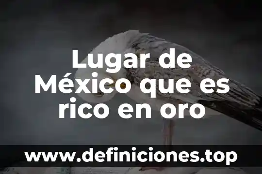 Qué es el oro y su importancia 4 Lugar de México que es rico en oro