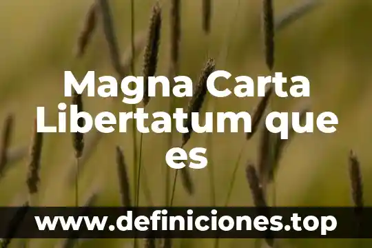 Que es otorgante carta poder 7 Magna Carta Libertatum que es