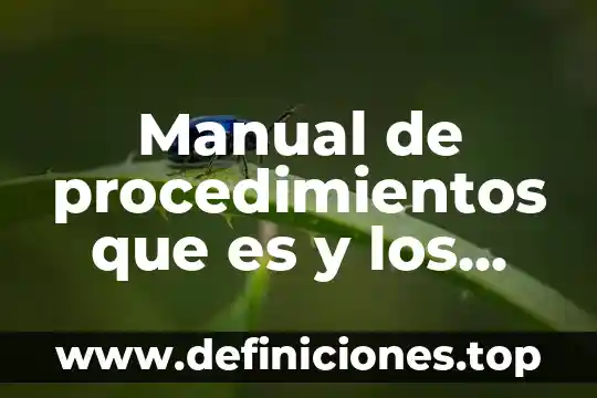 Manual de procedimientos que es y los formatos