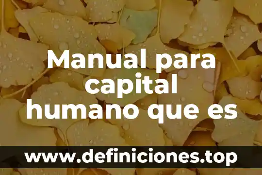 Que es el capital extranjero en mexico 6 Manual para capital humano que es