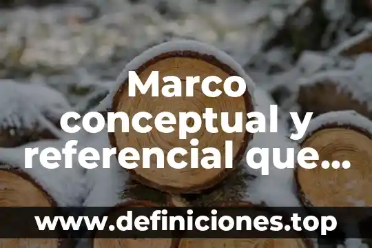 Marco conceptual y referencial que es