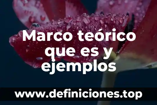 Que es un marco teórico de un corazon de cerdo 7 Marco teórico que es y ejemplos