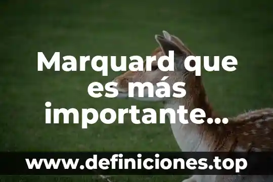Que es cultura universal concepto 6 Marquard que es más importante que la historia universal