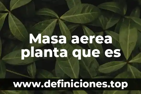 Masa aerea planta que es