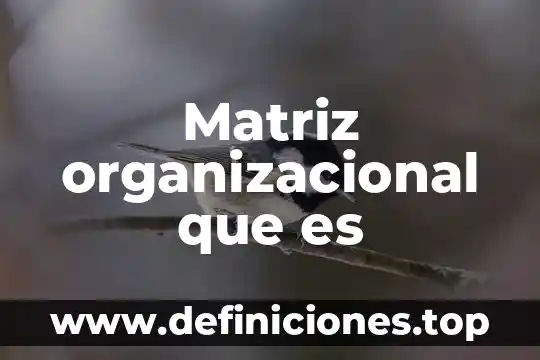 Matriz organizacional que es