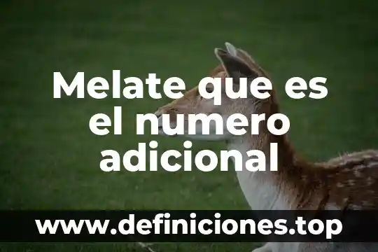 Melate que es el numero adicional