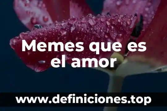 Memes que es el amor