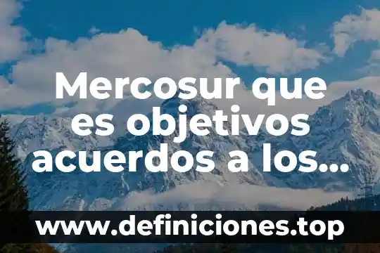 Qué es un planteamiento y sus objetivos 4 Mercosur que es objetivos acuerdos a los que llega