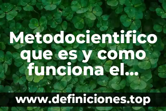 Qué es y cómo funciona OneDrive 4 Metodocientifico que es y como funciona el metodo cientifico