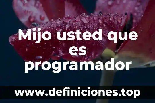 Qué es un programador it 8 Mijo usted que es programador