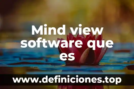 Que es flexera software 4 Mind view software que es