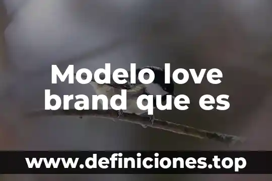 Que es love brand marketing 5 Modelo love brand que es