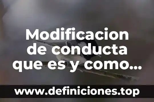 Autocontrol modificacion de conducta que es y como aplicarla 3 Modificacion de conducta que es y como aplicarla garry