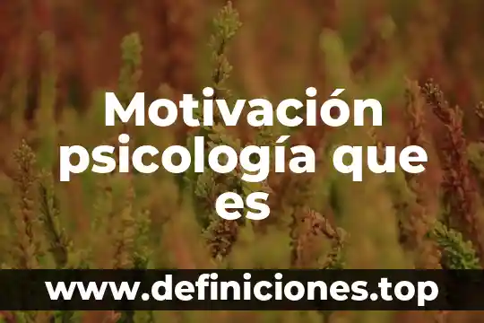Qué es la psicología odf 8 Motivación psicología que es