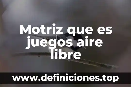 Qué es capacidad física motriz 4 Motriz que es juegos aire libre