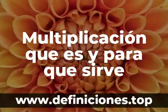 Que es problemas multiplicación con decimales 8 Multiplicación que es y para que sirve