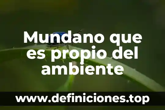Que es el ambiente en una obra 8 Mundano que es propio del ambiente