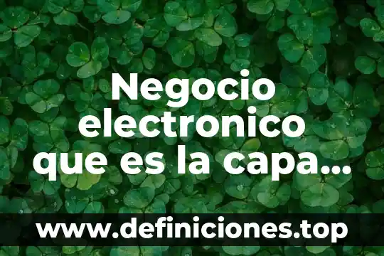 Que es el saldo que viene en plan de negocios 8 Negocio electronico que es la capa de datos en negocios