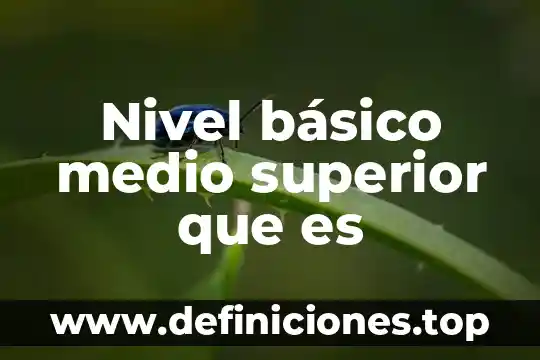 Nivel básico medio superior que es