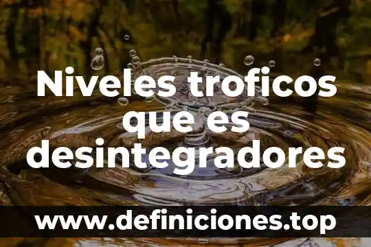 Qué es un niveles de atención en enfermeria 3 Niveles troficos que es desintegradores