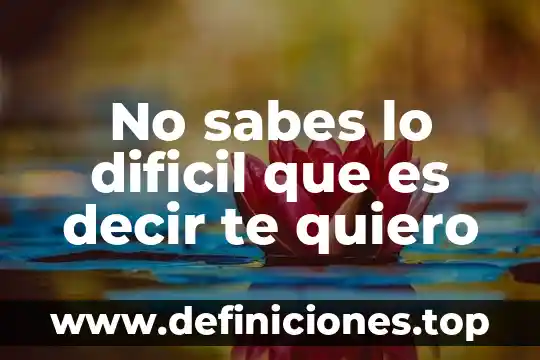 Formas de decir que es 3 No sabes lo dificil que es decir te quiero