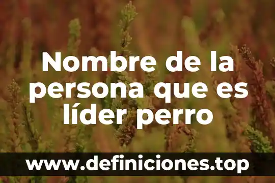 Qué es un pueblo desarrollado 7 Nombre de la persona que es líder perro