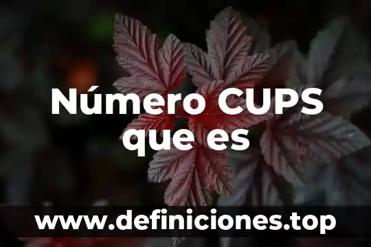 Que es un villar de numero 5 Número CUPS que es