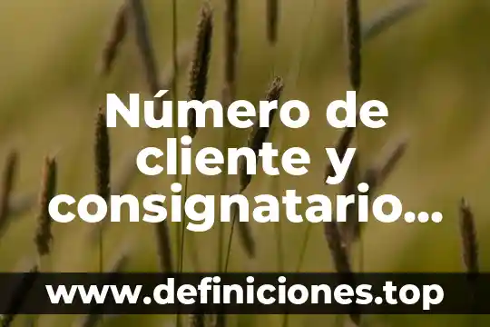 Que es un cliente en un sistema de red 6 Número de cliente y consignatario que es