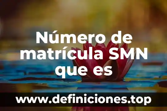 Número de matrícula SMN que es