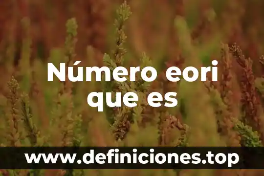 Número eori que es
