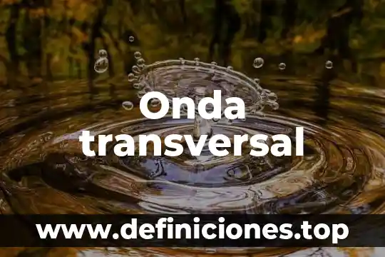 Qué es la educación transversal 7 Onda transversal