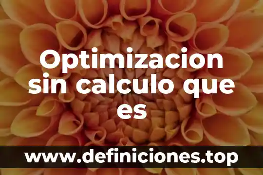 Que es optimizacion de recursos autores 6 Optimizacion sin calculo que es