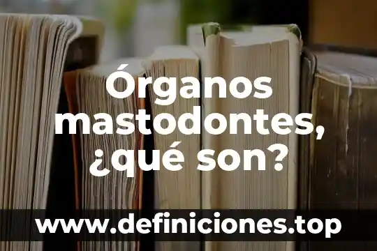 Parenquima órganos que es 5 Órganos mastodontes, ¿qué son?