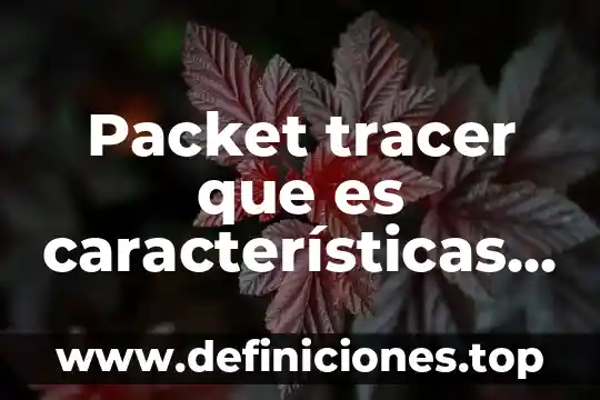 Que es plan todo incluido 5 Packet tracer que es características y todo sobre el