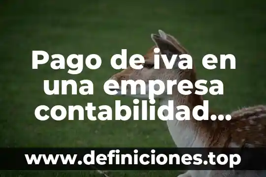 Que es un pago parcial 3 Pago de iva en una empresa contabilidad que es