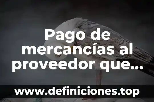 Que es pago que reciben los socios por invertir 8 Pago de mercancĂas al proveedor que es