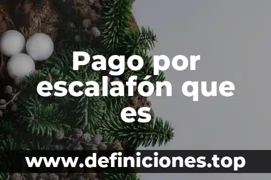 Que es pago que reciben los socios por invertir 3 Pago por escalafĂłn que es