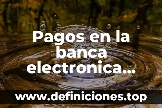 La firma electronica fiel del sat para que es 4 Pagos en la banca electronica que es
