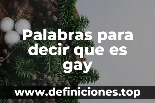 No sabes lo dificil que es decir te quiero 4 Palabras para decir que es gay