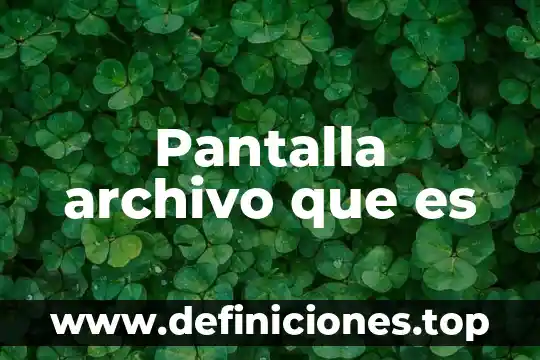 Qué es un archivo blindeo en referencia 8 Pantalla archivo que es