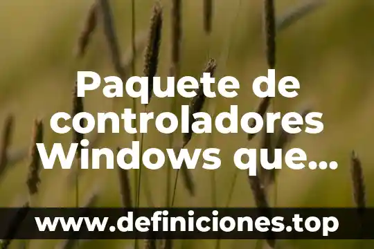 Que es controladores de seguridad 4 Paquete de controladores Windows que es