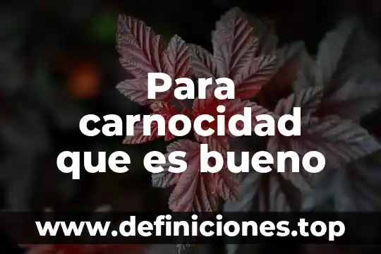 Qué es el bullyng clasificación y tipos 7 Para carnocidad que es bueno