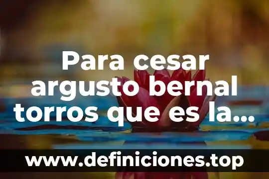 Para cesar argusto bernal torros que es la investigacion documental