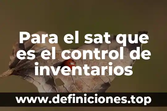 Para el sat que es el control de inventarios