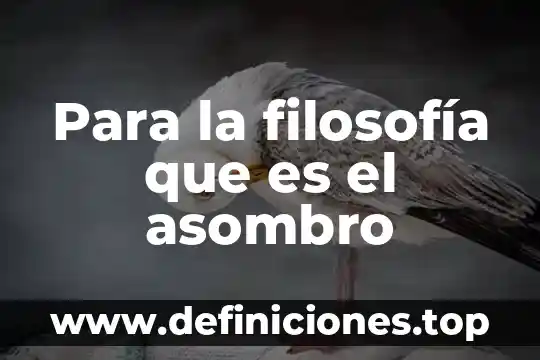 Para la filosofía que es el asombro